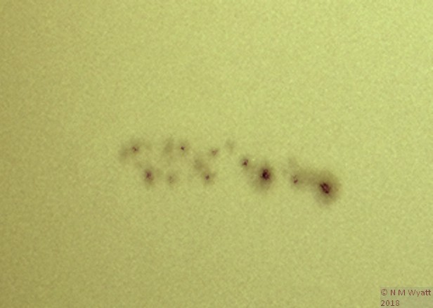A close up of the sunspots in AR 12443