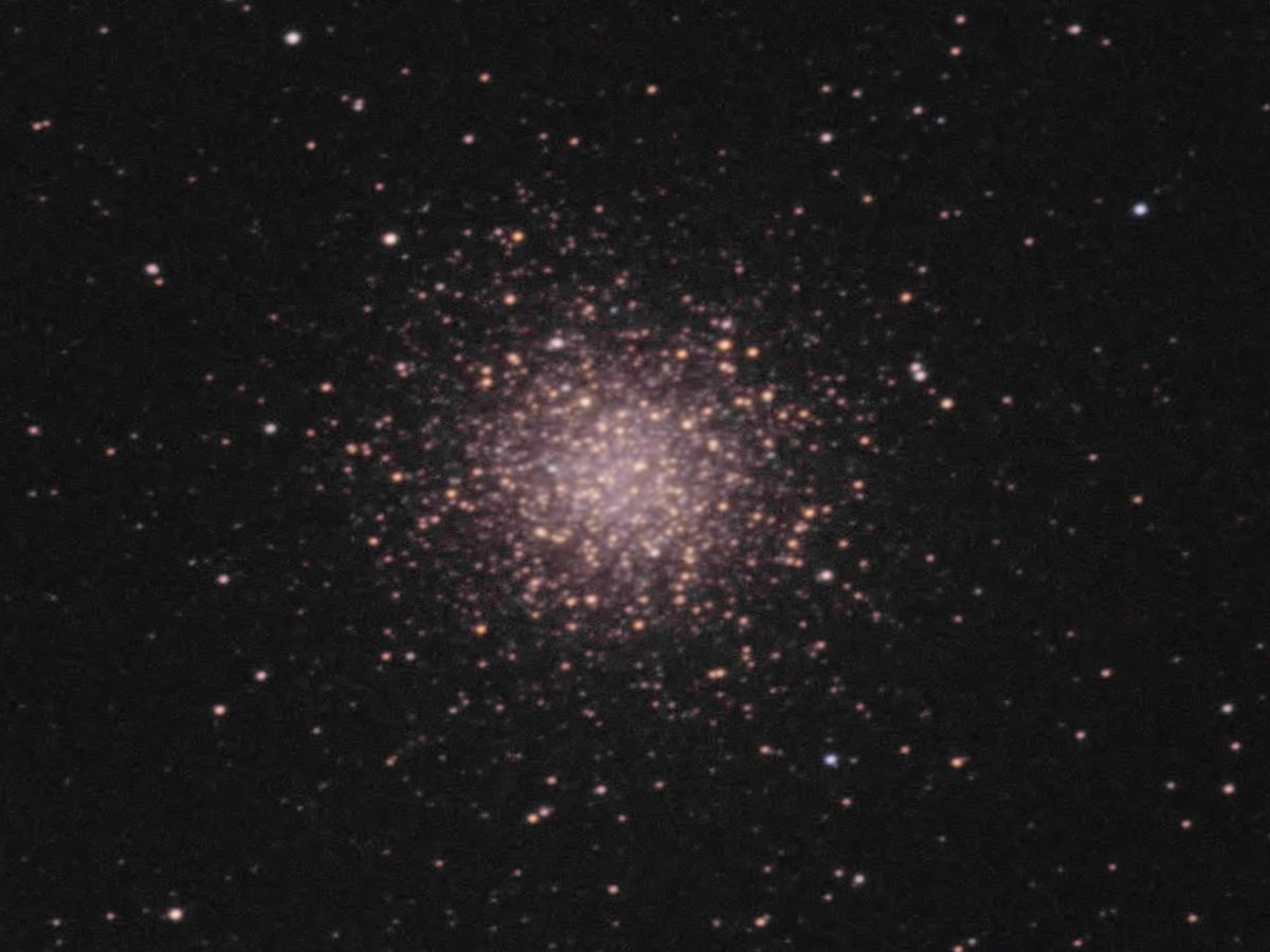 M14