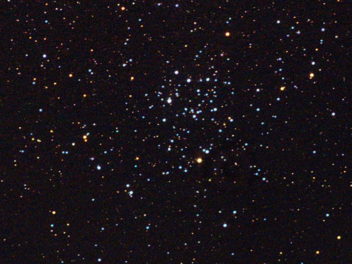 M50
