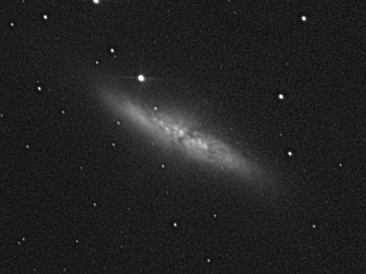 M82 L