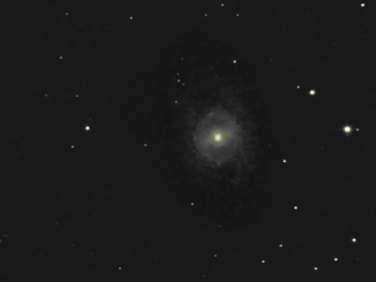 M95
