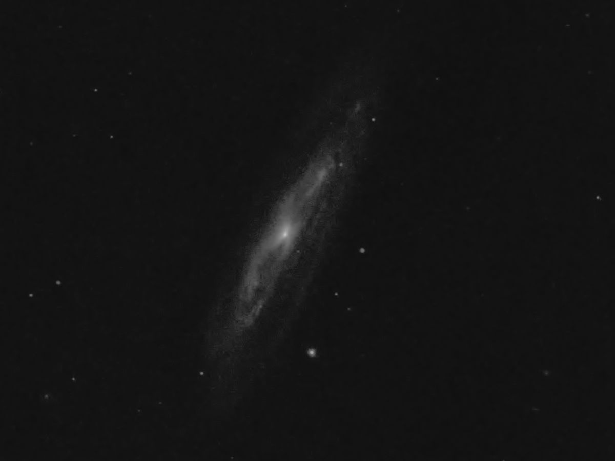 M98 L