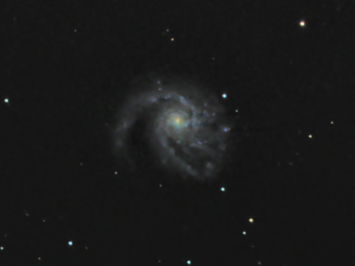 M99